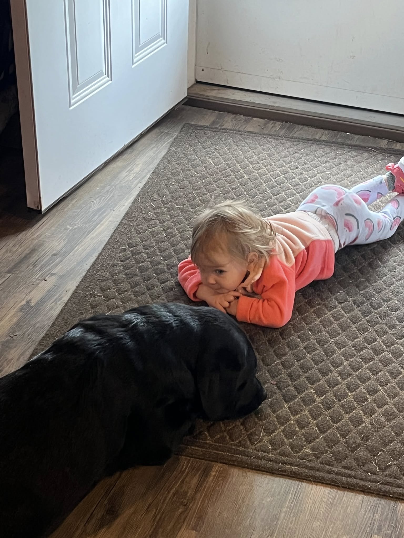 Baby K and Frankie making friends