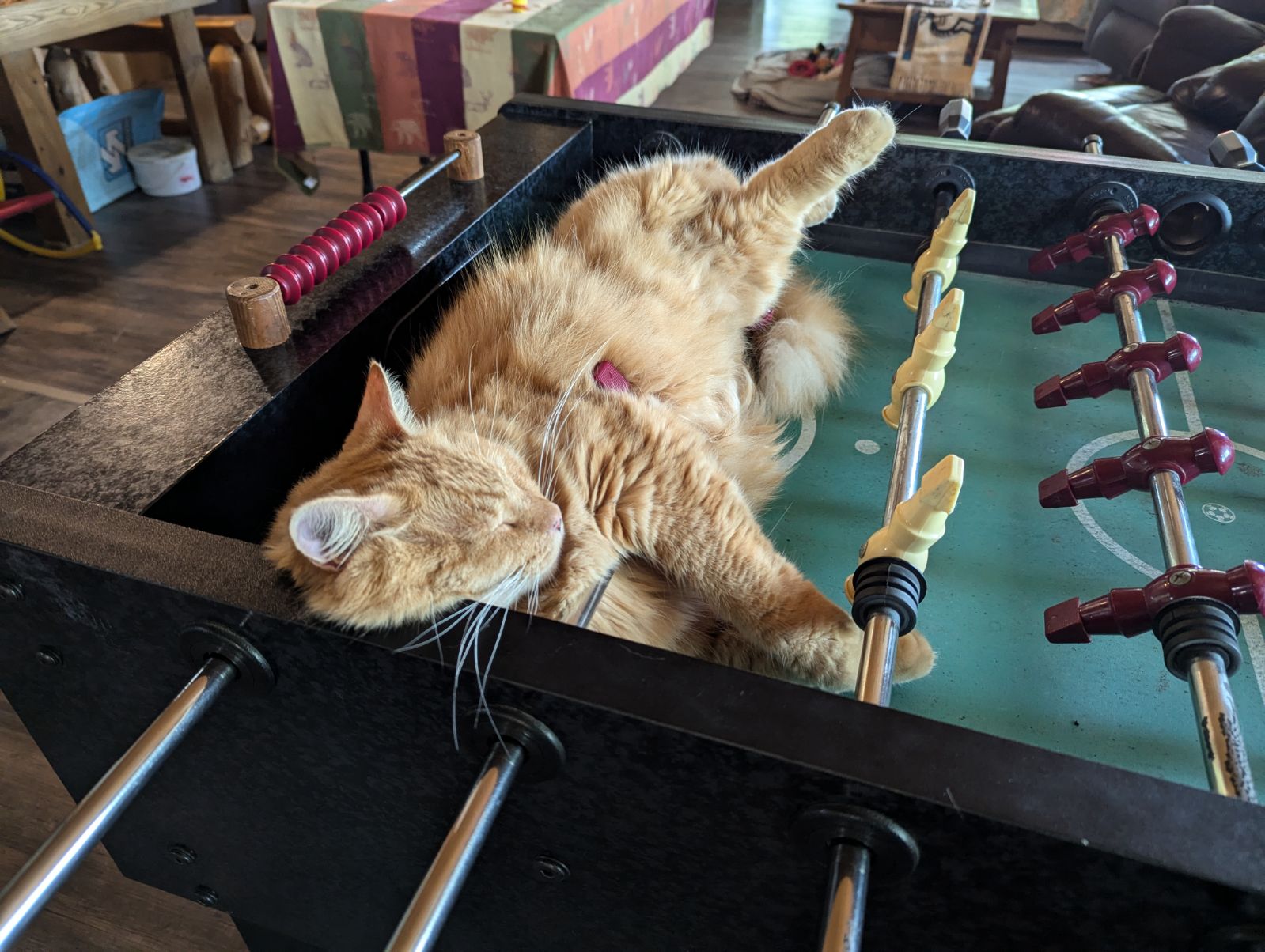 Cat napping on a foosball game