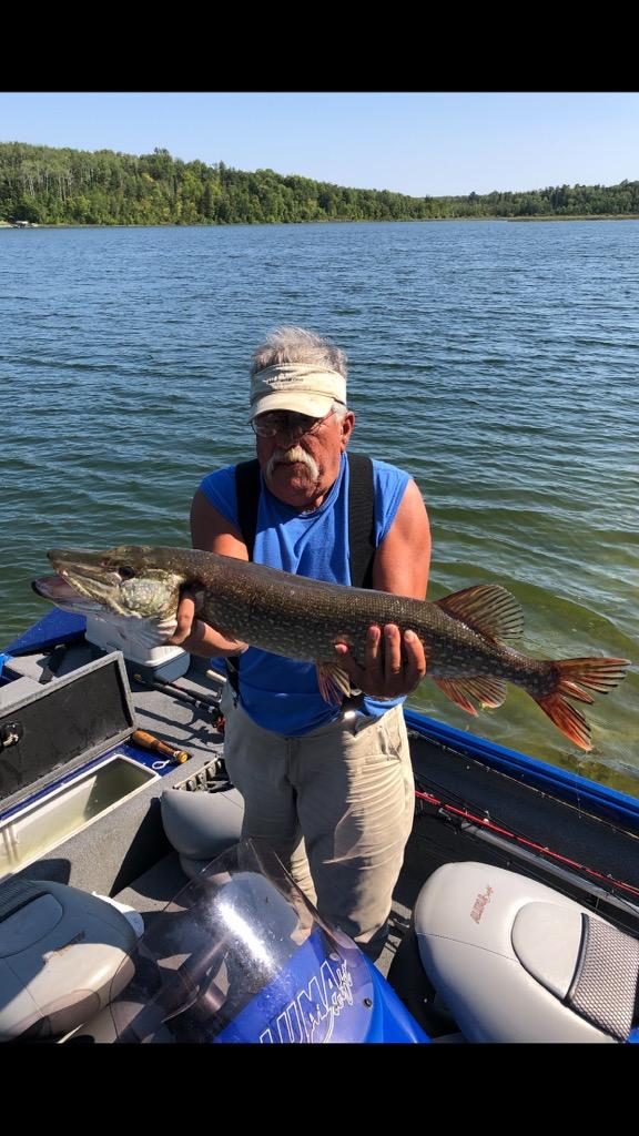 Northern Pike caught on Big Elbow Lake.