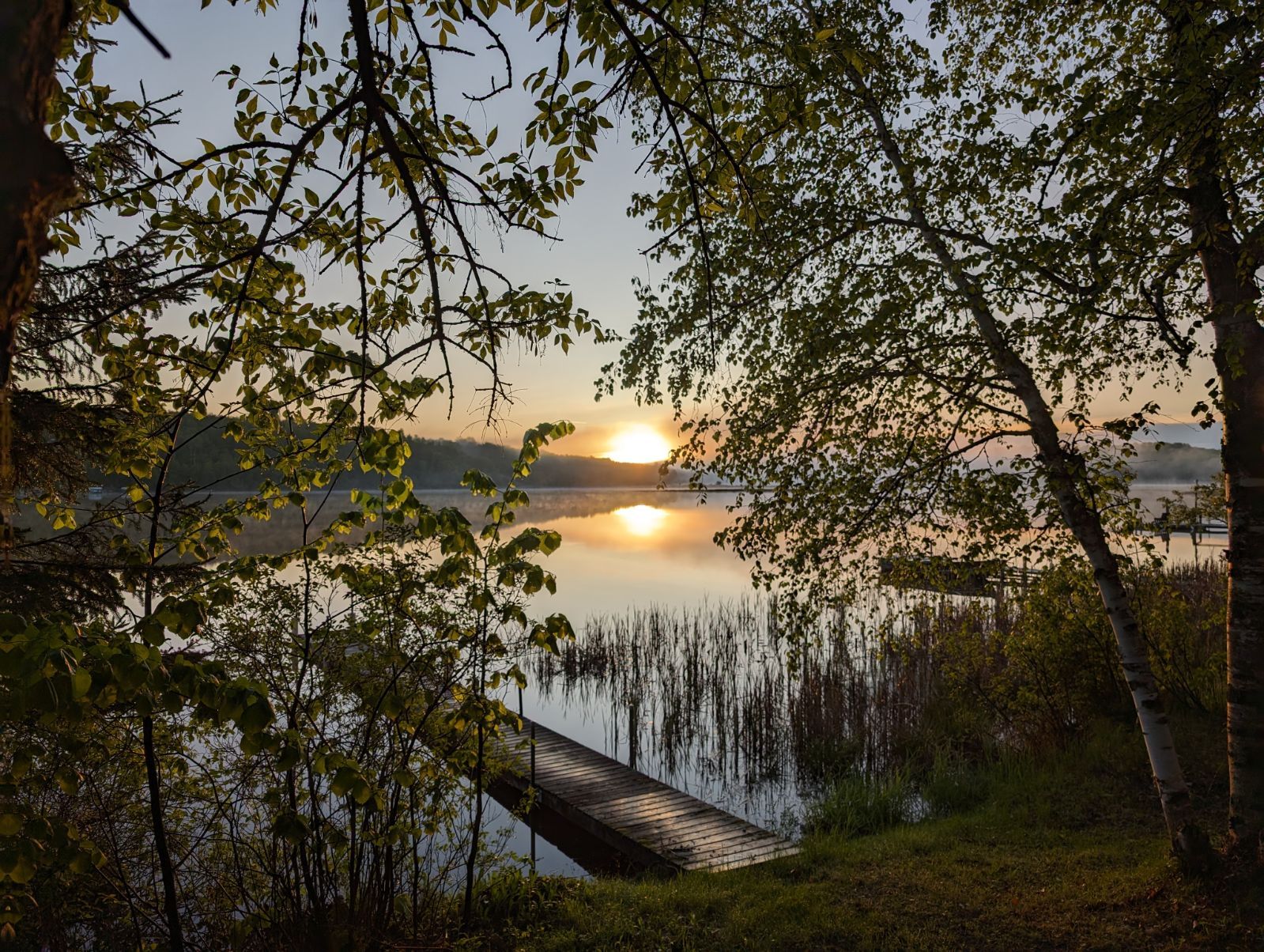 Sunrise through the trees at Jolly Fisherman Resort