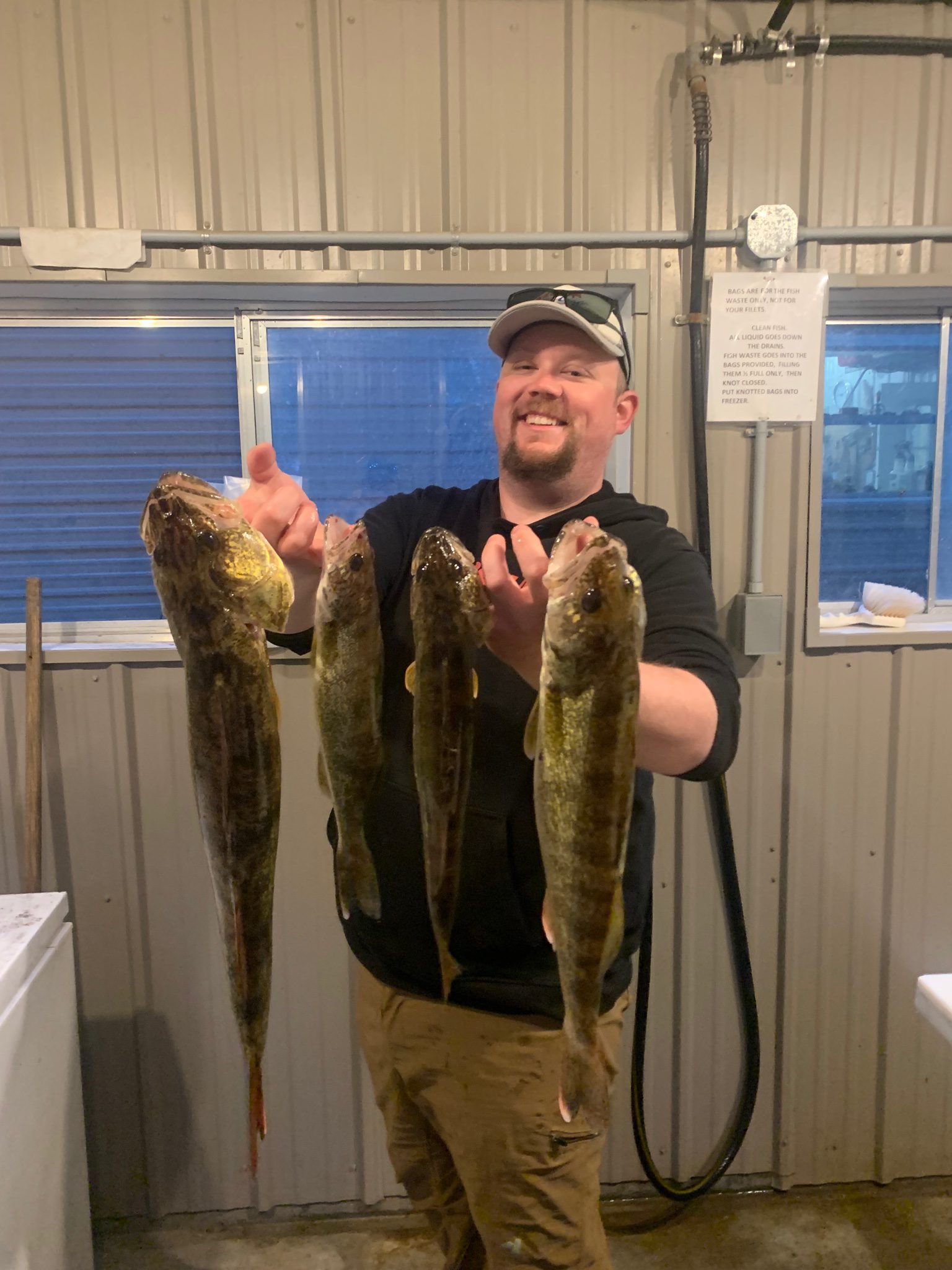 Walleye fingers in the fish cleaning house